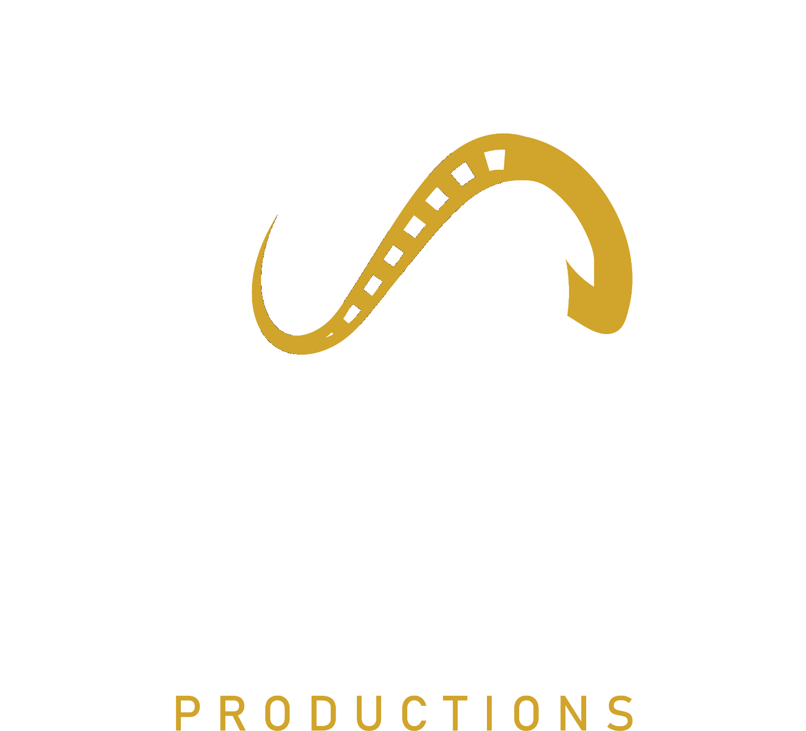 blackturtle